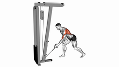 Cable One Arm Bent over Row